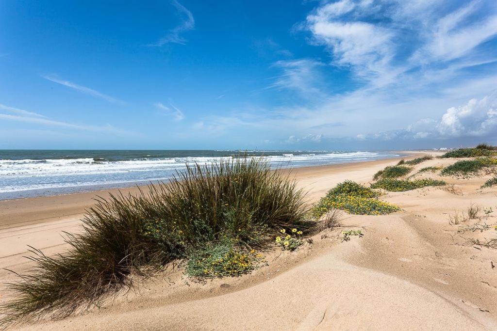 Fantastico Atico Con Terraza, Garaje, Wifi, Con Todo Para Playa, Piscina Y Casa Y No Facturar Maletas! Ель-Портіль Екстер'єр фото